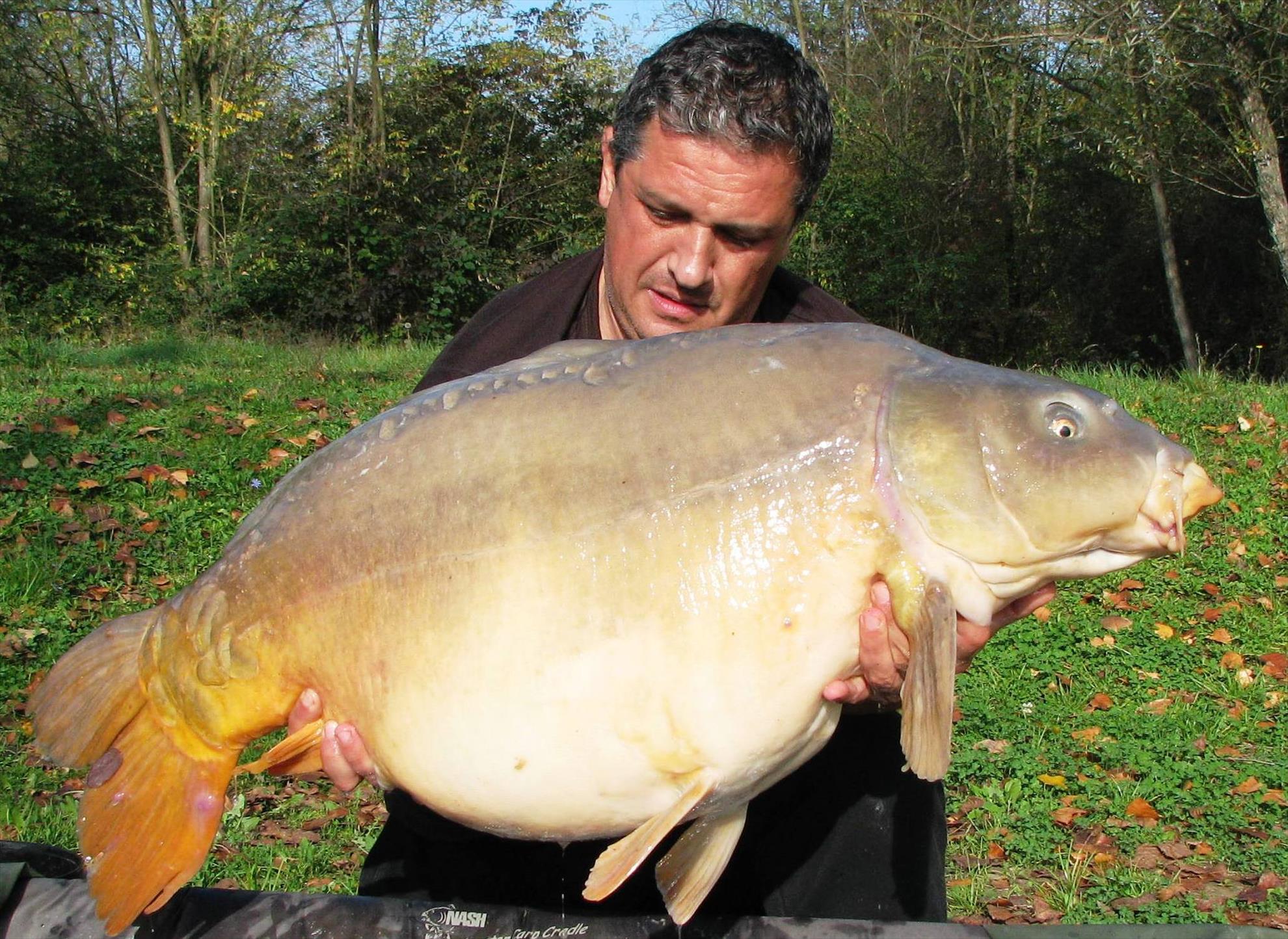 Balkan lake 26 oct. - 2 nov. - 227kg.JPG
